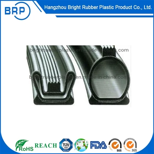 Inflatable Rubber Seal